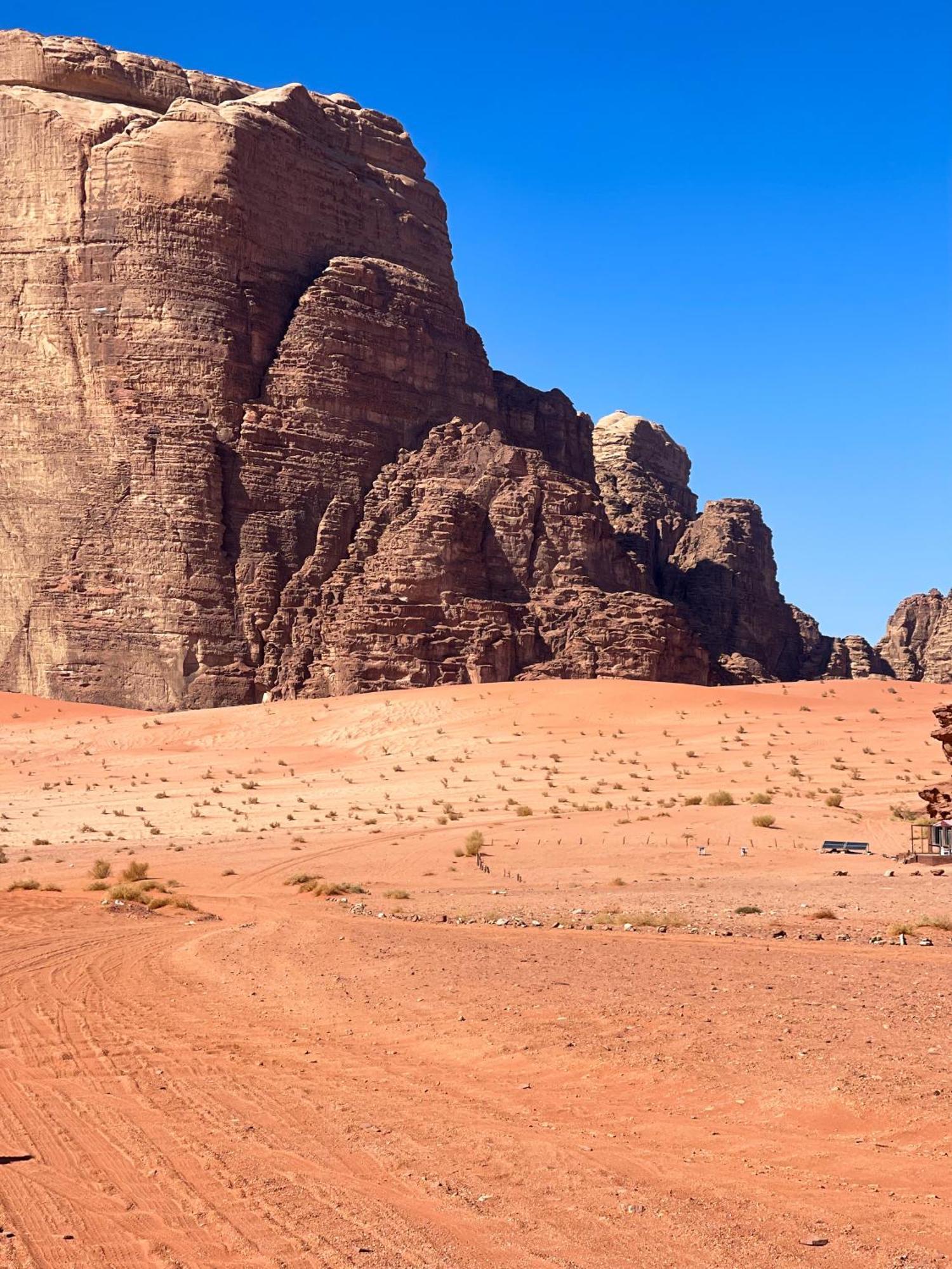 Wadi Rum Stargazing Camp Exteriör bild